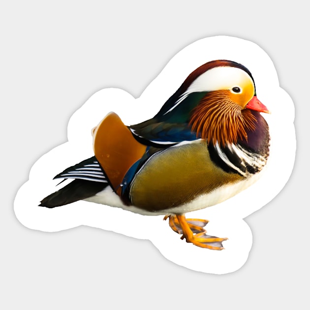 Mandarin duck Sticker by kawaii_shop